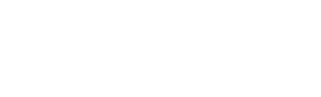 insprago logo white